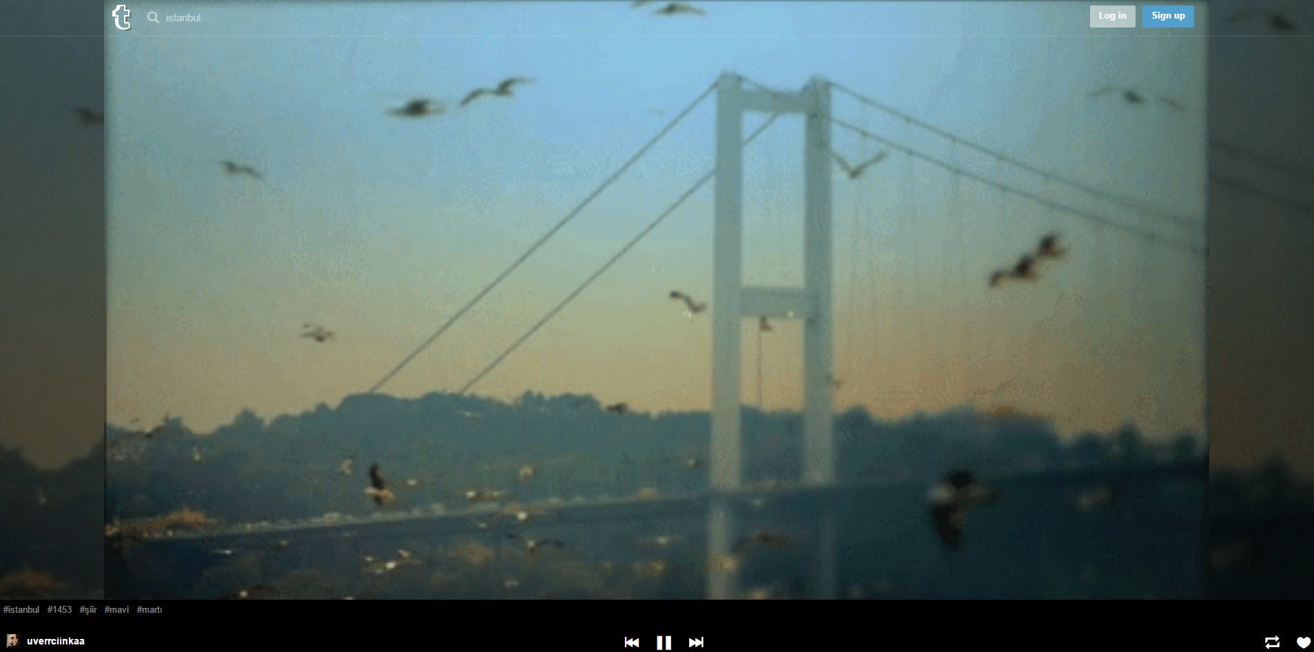 tumblr-tv-istanbul-search