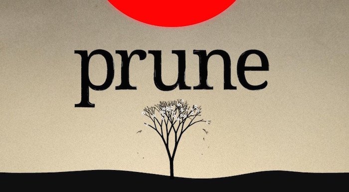 Yılın en çok beklenen mobil oyunlarından Prune yayınlandı