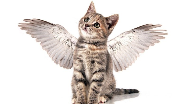 AngelList'ten erken aşama girişimler için 400 milyon dolarlık rekor fon [Güncellendi]