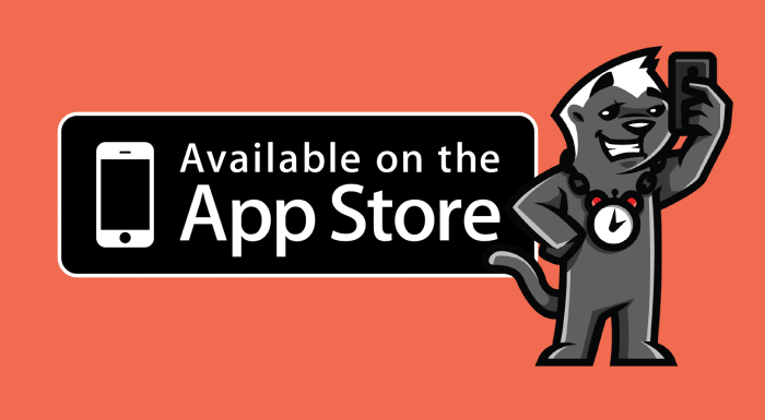 Zaman limitli selfie uygulaması Timit 100 bin dolar yatırım aldı