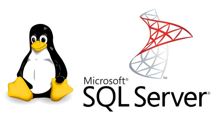 Microsoft'un amiral gemilerinden SQL Server artık Linux üzerinde de kullanılabilecek