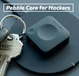 Pebble core 2