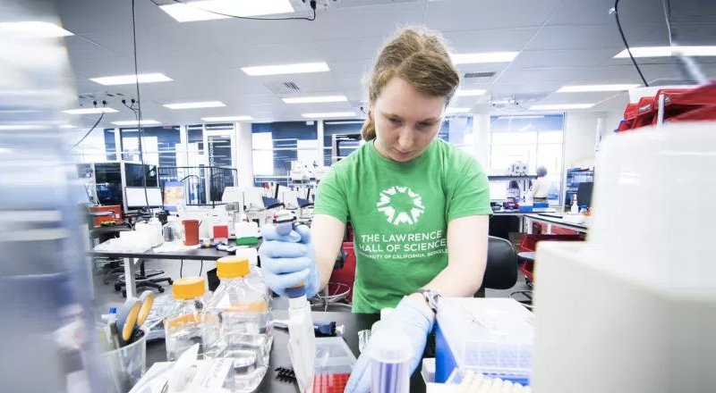 Gingko Bioworks, 100 milyon dolar yatırımla 600 milyon çift sentetik DNA satın alacak