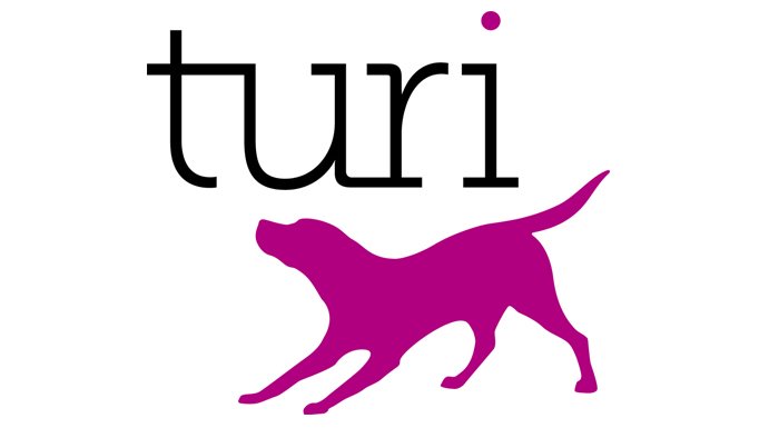 Apple, yapay zeka girişimi Turi'yi 200 milyon dolara satın aldı