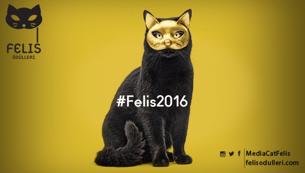 Felis Ödülleri'ne başvuru için son 4 gün