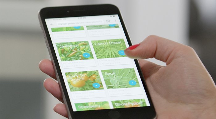 Akıllı bahçıvanlık uygulaması Grobo ile ev ortamında bitki yetiştirmek çok kolay