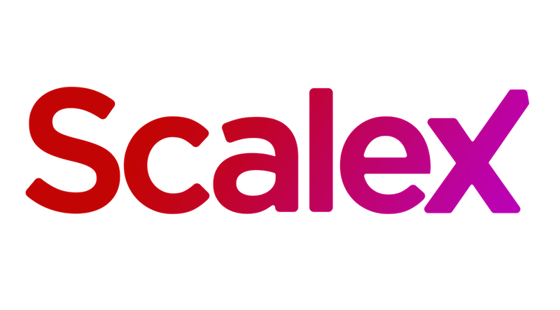 Türkiye'den girişimlerin küresel çapta ölçeklenmesine odaklanan ScaleX faaliyete başlıyor