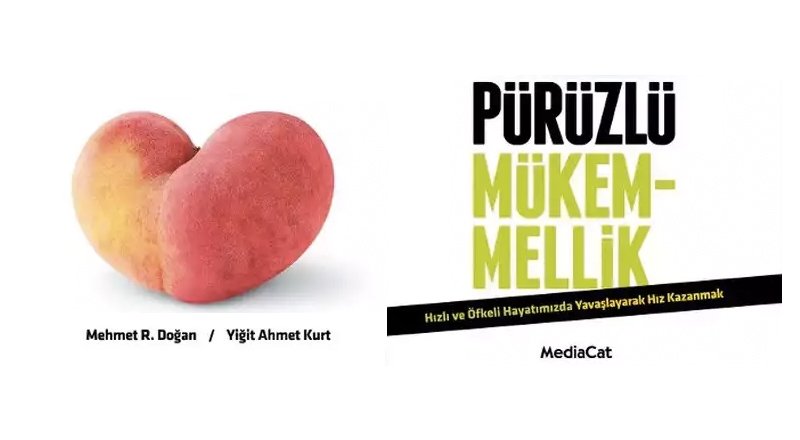 Pürüzlü Mükemmellik: İş dünyasındaki pürüzlerle iyi geçinmenin yolları [Kitap]