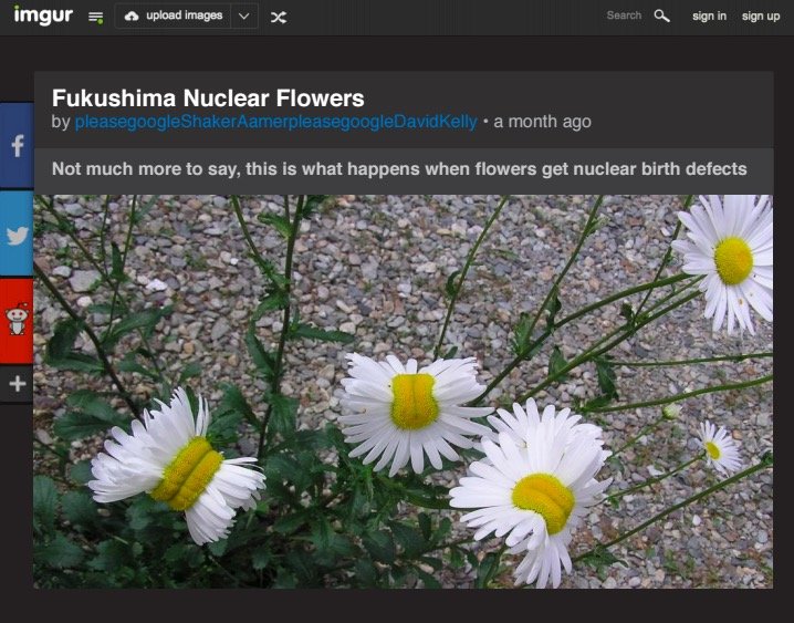 screen-shot-2016-11-24-at-16-09-23