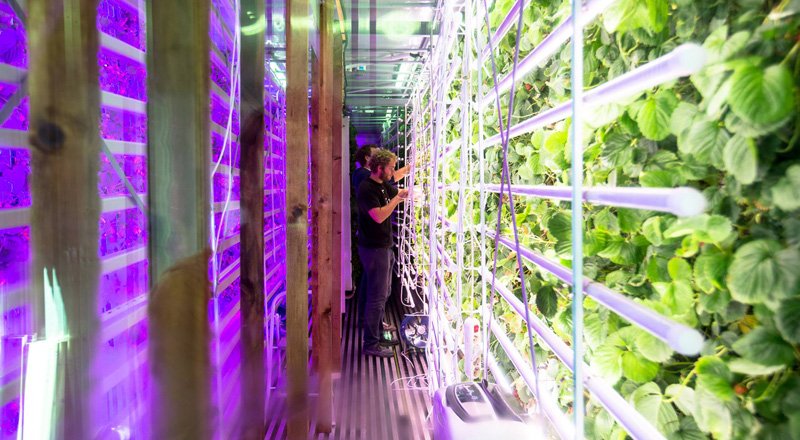 Dikey tarım girişimi Agricool konteynerde çilek yetiştirmek için 4 milyon euro yatırım aldı