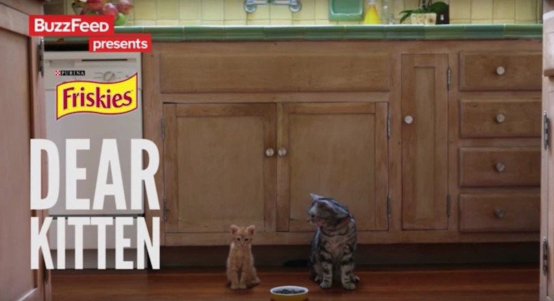 Buzzfeed 1.7 milyar dolar değerlemeyle 200 milyon dolar yatırım aldı