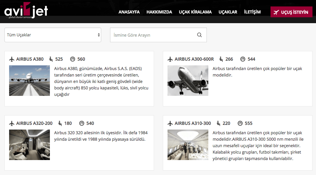 avione-jet-kiralama-2