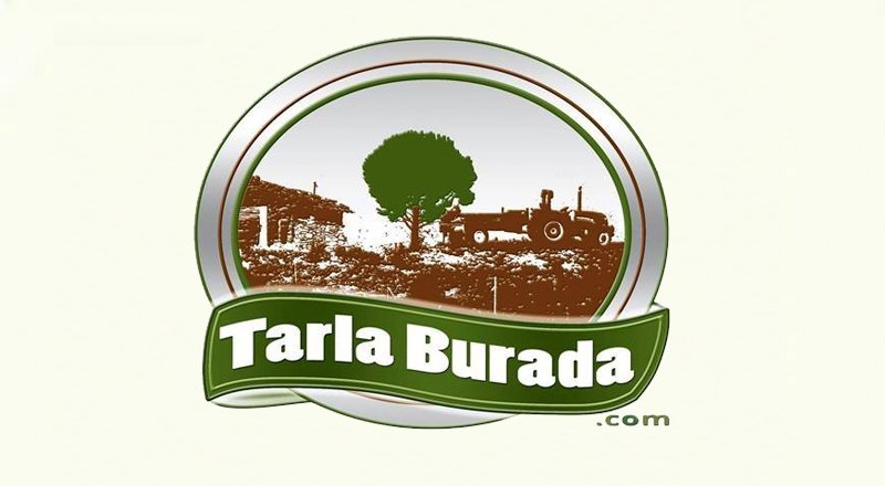 Tarlaburada.com: Taze ve doğal gıda pazarının butik oyuncusu