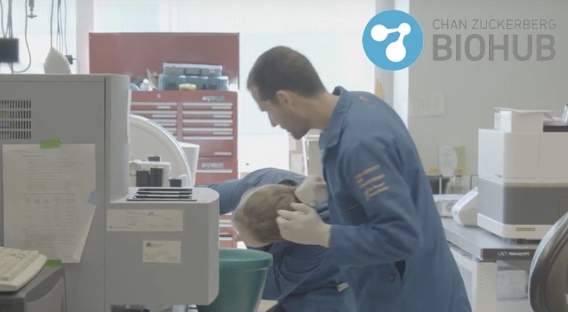 Tüm hastalıkları çözmek isteyen Chan Zuckerberg Vakfı, bilim insanlarına 50 milyon dolar destek sağlayacak