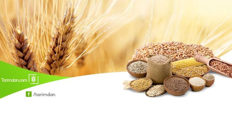 Tarım odaklı ilan sitesi Tarimdan.com pazar yeri modeliyle ürün satışına başladı