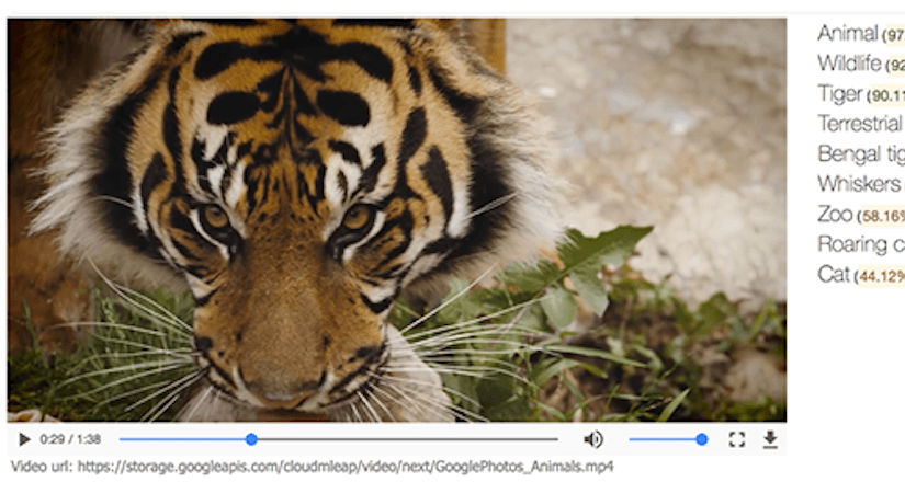 Google video içeriğini tanıyıp aranabilir hale getiren 'machine learning' API'ını yayınladı