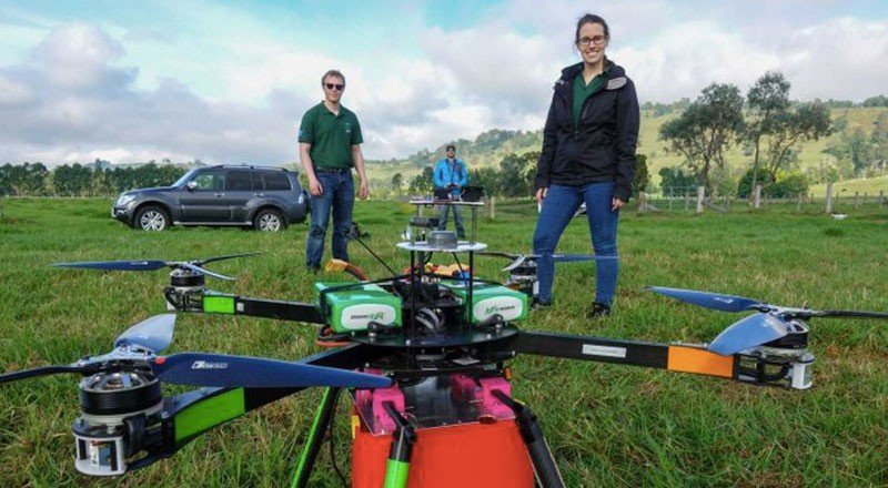 Kaybolan ormanları geri getirmek için iki drone yeter mi?
