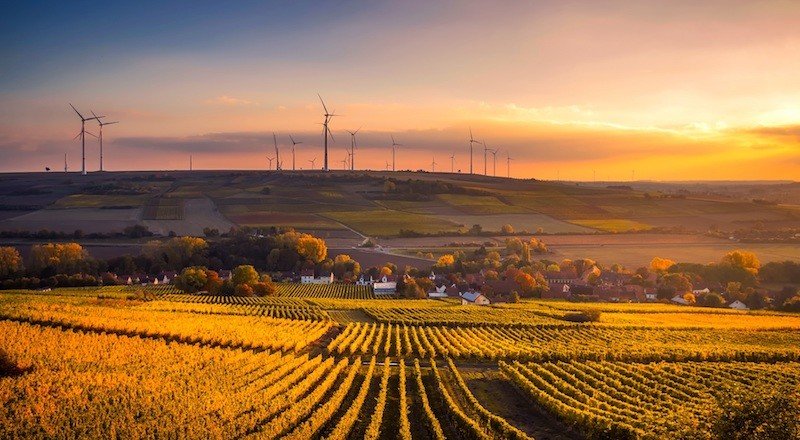 Avustralya’nın en büyük tahıl ihracatçısı blockchain ile takip sistemini deniyor