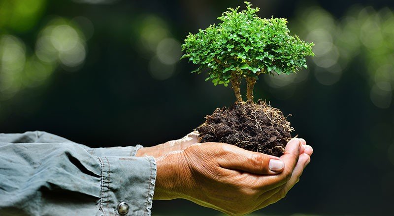 Dünyayı daha iyi bir yer haline getirmeye çalışan 12 şirket