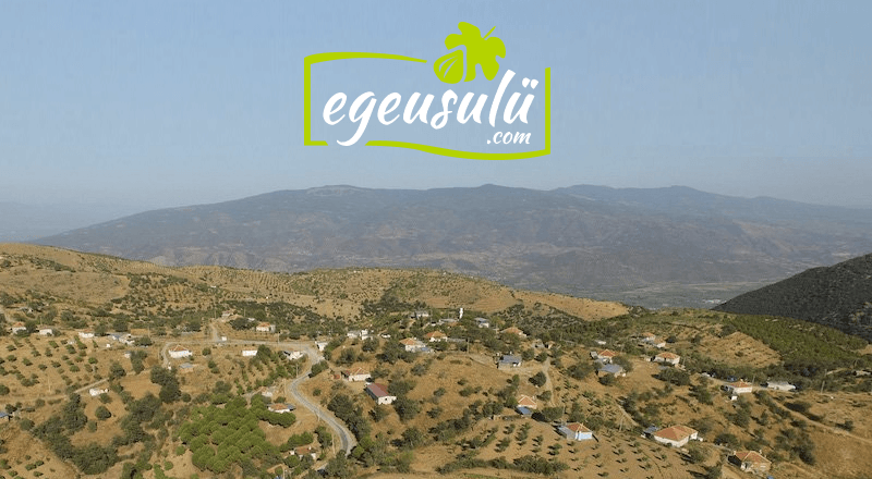 Ege Usulü: Ege'nin yerel ürünlerini e-ticarete taşıyan yeni bir girişim