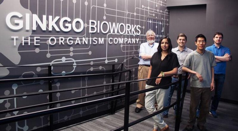 Ginkgo Bioworks D serisi yatırım turunda 275 milyon dolar yatırım aldı