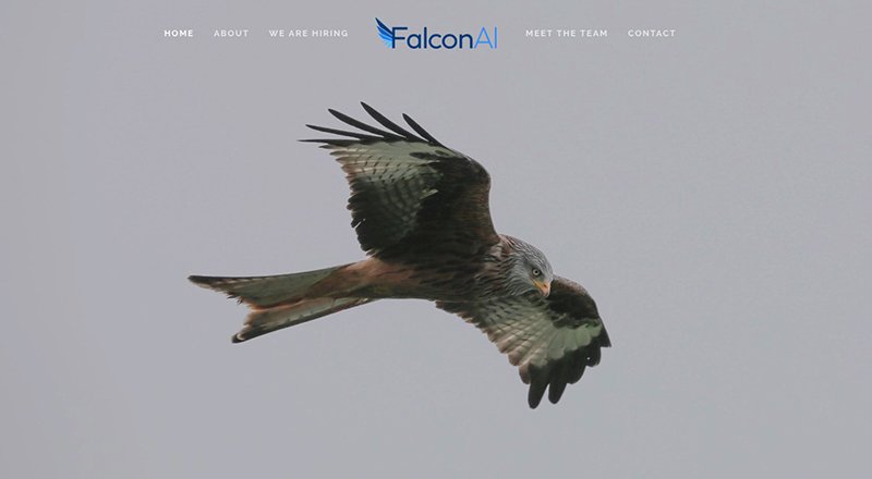 ACT Venture Partners'tan yerli yapay zeka girişimi FalconAI’a 2,5 milyon euro yatırım