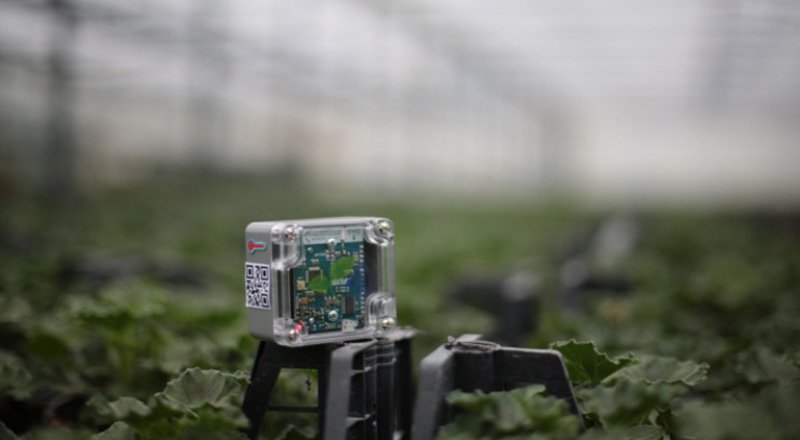 Akıllı sera Ignite Greenhouse, Arıkovanı’nda destek toplamaya başladı