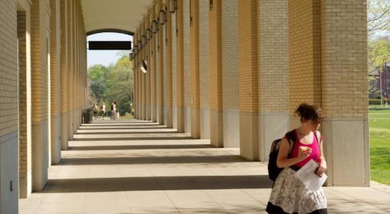 Yapay zeka, ABD'de lisans programı oluyor