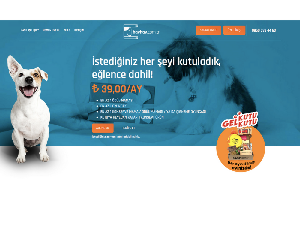 Havhav Köpek sahipleri için kutu abonelik girişimi Webrazzi