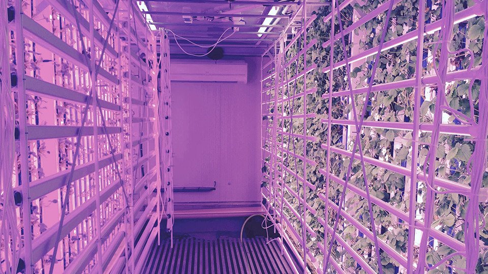 Fransa merkezli dikey tarım girişimi Agricool, 28 milyon dolar yatırım aldı