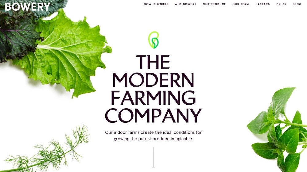 Dikey tarım girişimi Bowery, GV öncülüğünde 90 milyon dolar yatırım aldı