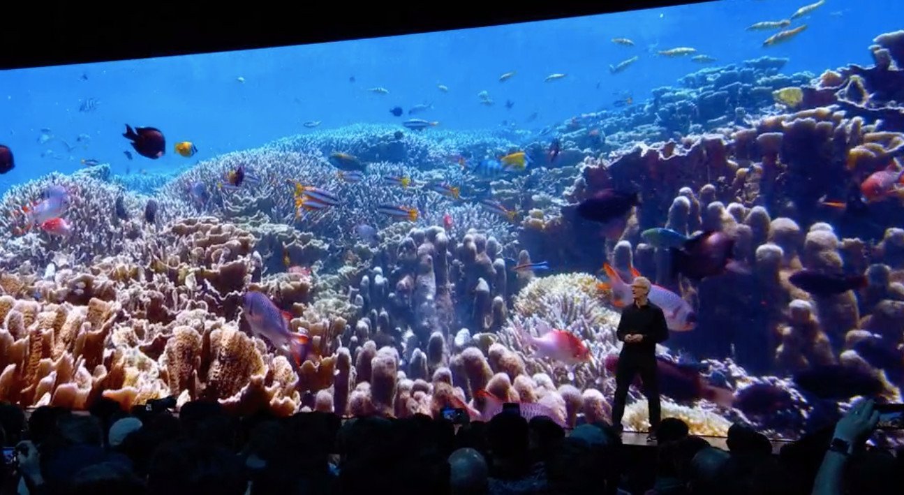 20190603171259-806712jpg-876