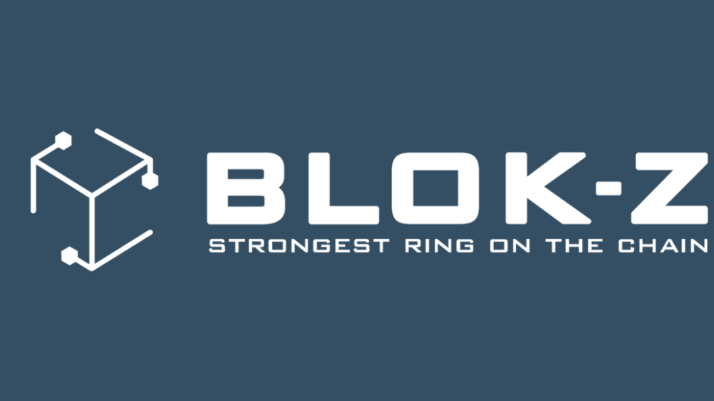 Enerji dağıtımını merkeziyetsizleştiren blockchain girişimi Blok-Z yatırım turunu tamamladı