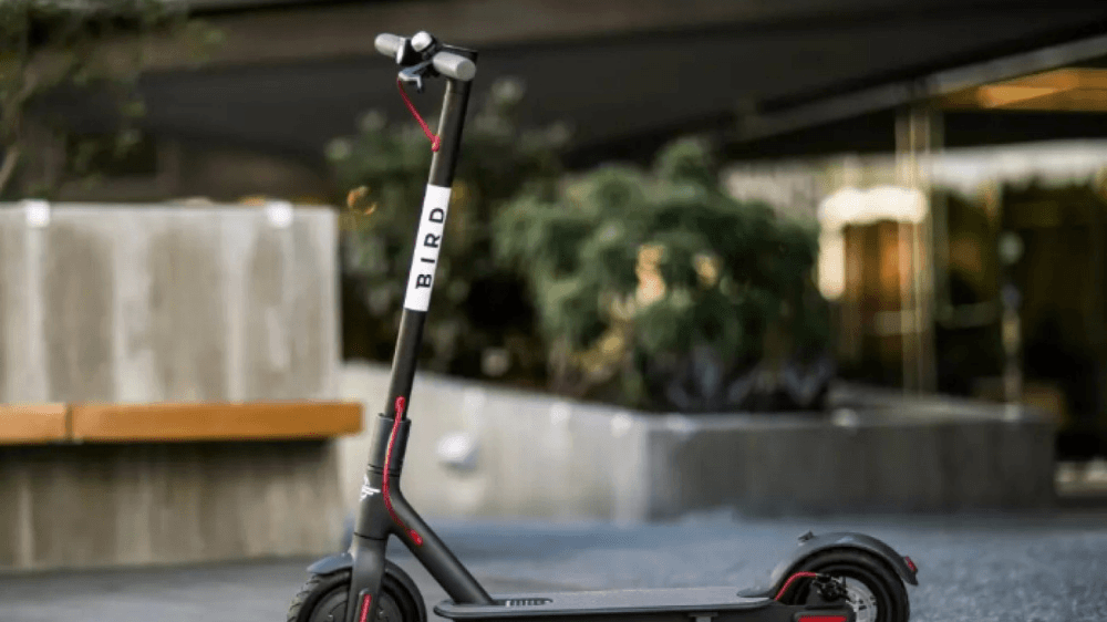 Bird, yılın ilk çeyreğinde 100 milyon dolar zarar etti