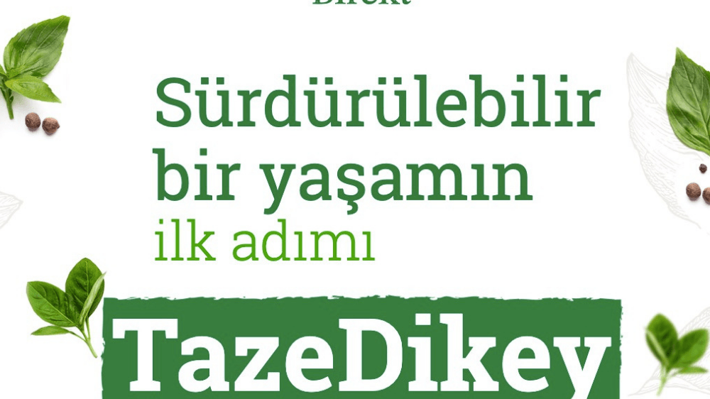 Tazedirekt'ten dikey tarıma odaklanan yeni proje: Tazedikey