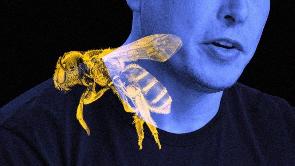 Elon Musk, attığı arı emojili tweet'lerle takipçilerinin kafasını karıştırdı