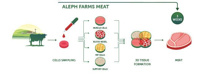 aleph-meat-672