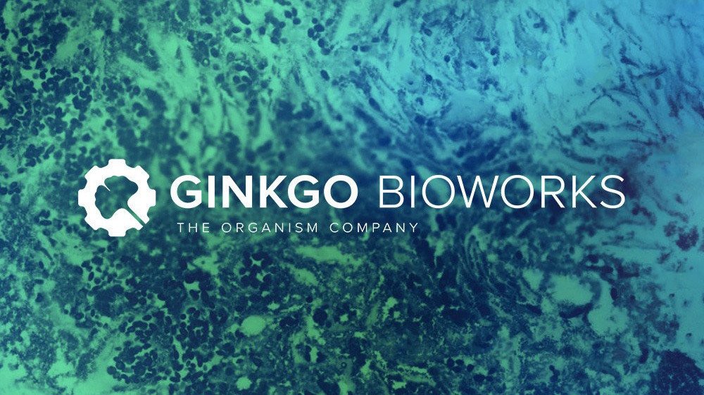 Arda Kutsal'ın da yatırımcıları arasında olduğu biyoteknoloji girişimi Ginkgo Bioworks, 290 milyon dolar yatırım aldı