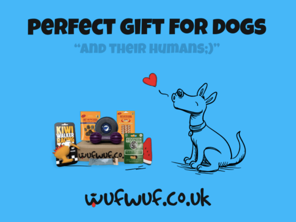 Atanova Ventures, kutu abonelik girişimi WUFWUF'un yatırımcıları arasına katıldı