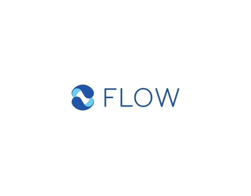 E-ticaret platformu kurulmasına yardımcı olan Flow, 37 milyon dolar yatırım aldı