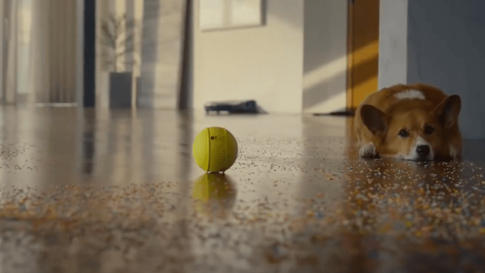 CES'te tanıtılan dikkat çekici 6 robot