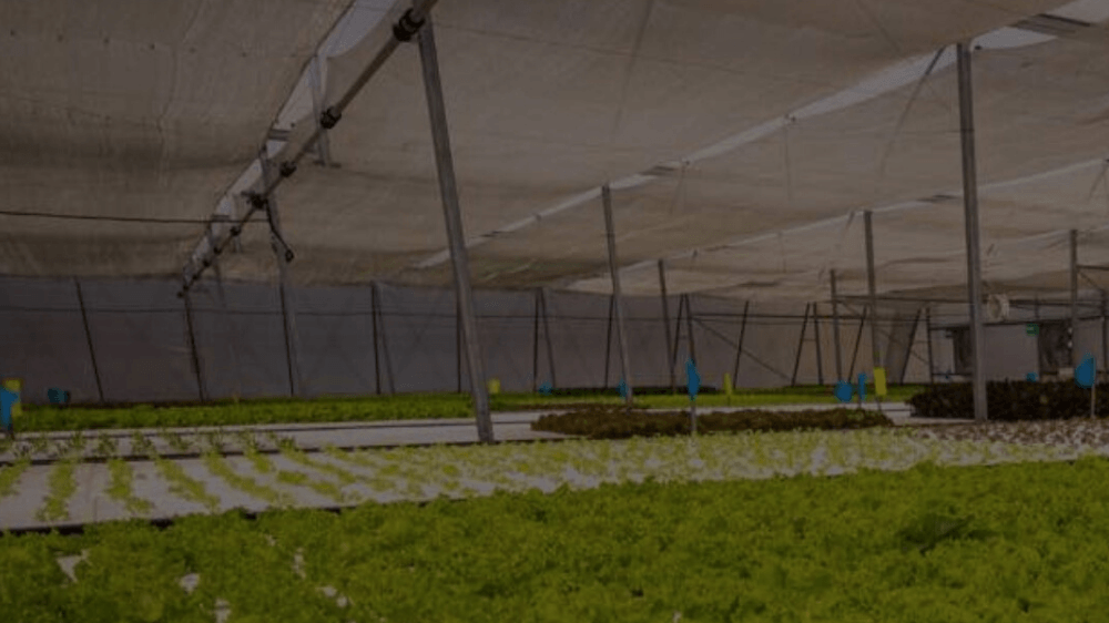 Tarım teknolojilerine odaklanan Clover, 5,5 milyon dolar yatırım aldı