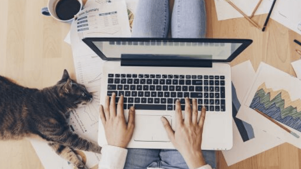 Corona virüs salgını nedeniyle ülkemizde evden çalışanların oranı yüzde 44'e ulaştı