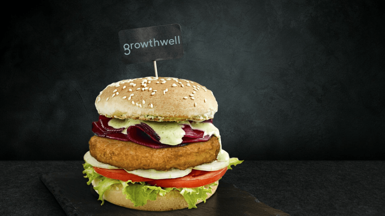 Temasek, bitki bazlı et üreticisi Growthwell'e 8 milyon dolar yatırım yaptı