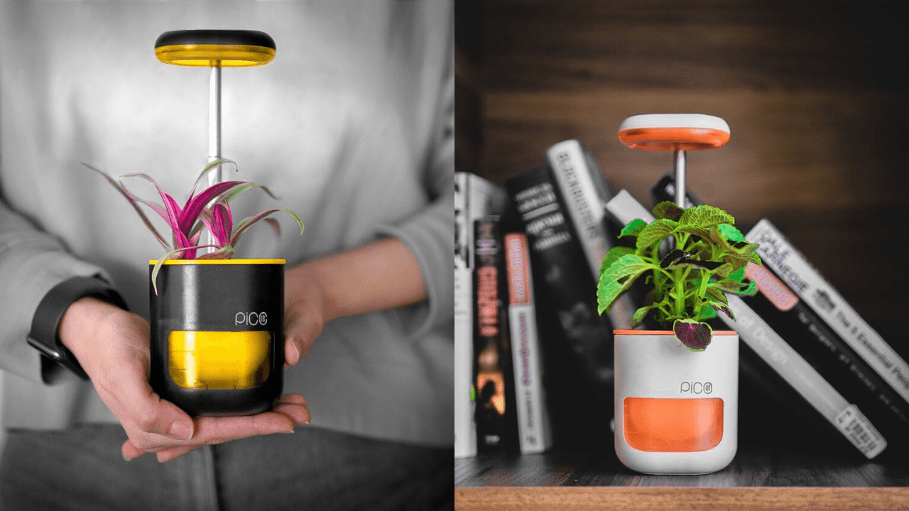 Teleskopik LED ve otomatik sulama özelliğine sahip bitki yetiştirme kiti: Pico