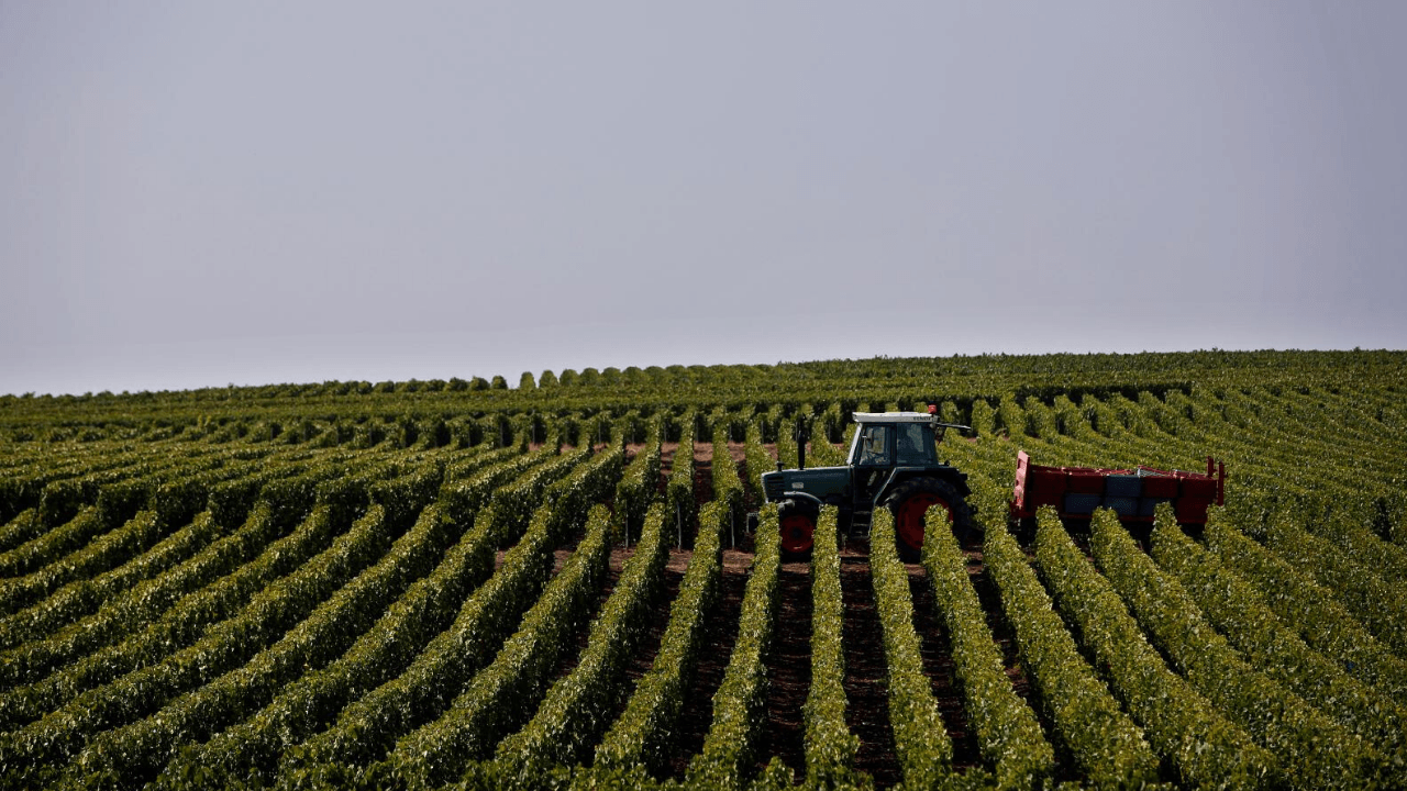 Tarım teknolojilerine odaklanan Pivot Bio, 100 milyon dolar yatırım aldı