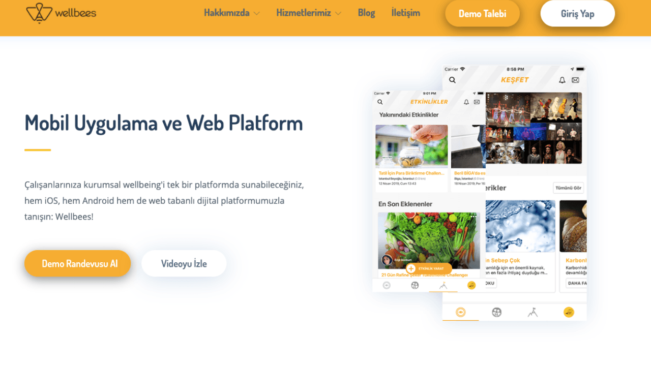 Çalışan deneyimi dikeyinde kurumsal wellbeing hizmet ve teknolojileri girişimi: Wellbees