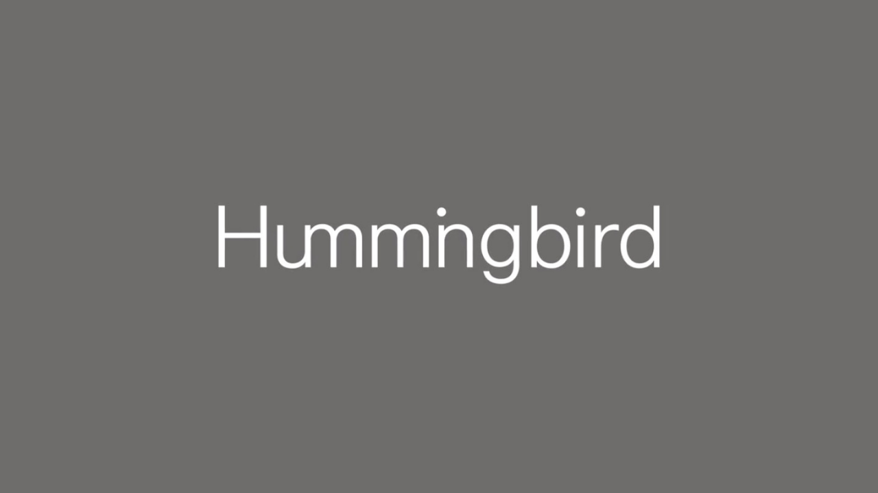 Hummingbird Ventures, 200 milyon dolar büyüklüğünde iki yeni fonunu duyurdu
