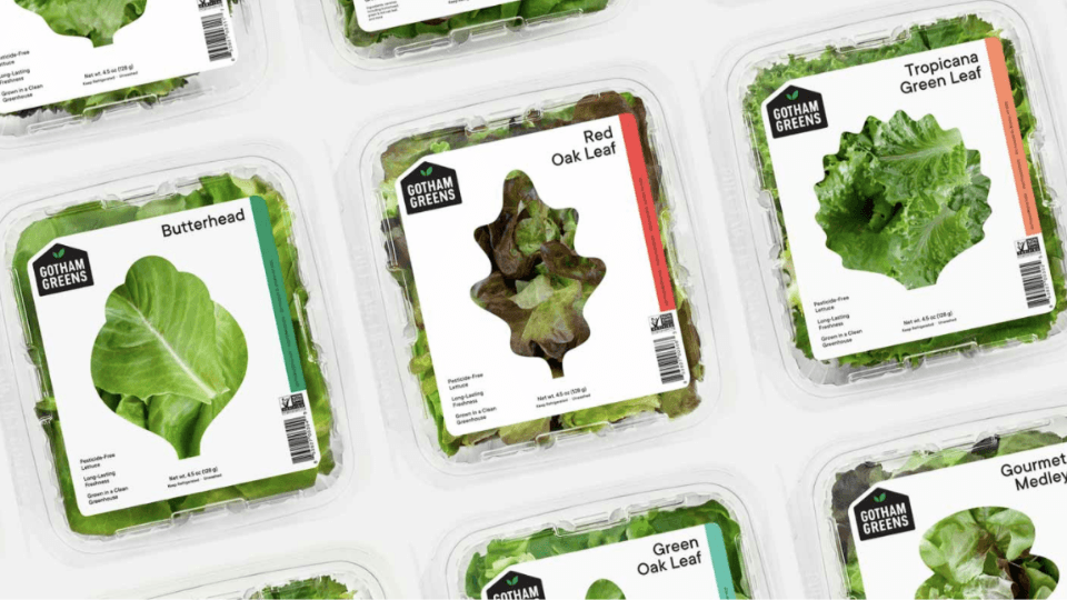 İnovatif tarım girişimi Gotham Greens, 87 milyon dolar yatırım aldı