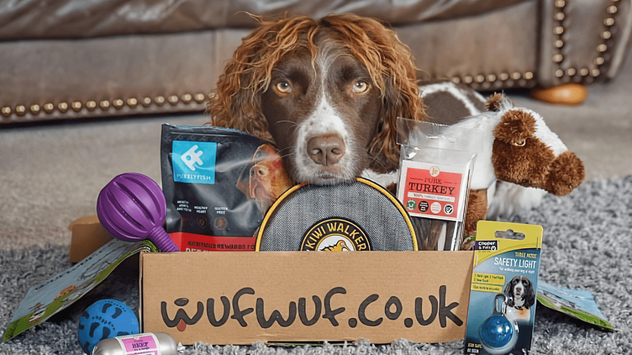 Köpek sahipleri için kutu abonelik girişimi WufWuf, Teknasyon'dan 275 bin euro yatırım aldı